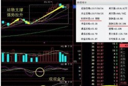 次新股最新爆料,揭秘市场新宠，投资机会一网打尽