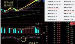 次新股最新爆料,揭秘市场新宠，投资机会一网打尽