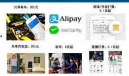 娱乐最新爆料网站推荐,最新爆料网站带你直击明星幕后故事