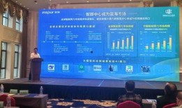 齐鲁新闻最新爆料,揭秘重大事件背后真相