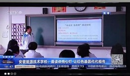 安徽高校爆料新闻最新情况,揭秘校园风云事件内幕