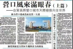 营口最新爆料新闻报道,揭秘事件背后真相