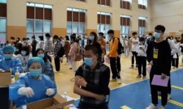 建始碧桂园爆料最新消息,揭秘项目进展与未来规划